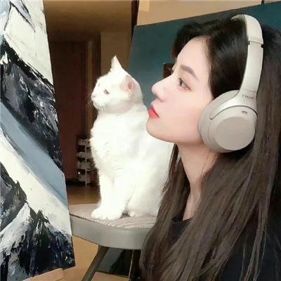 紧急盯梢令